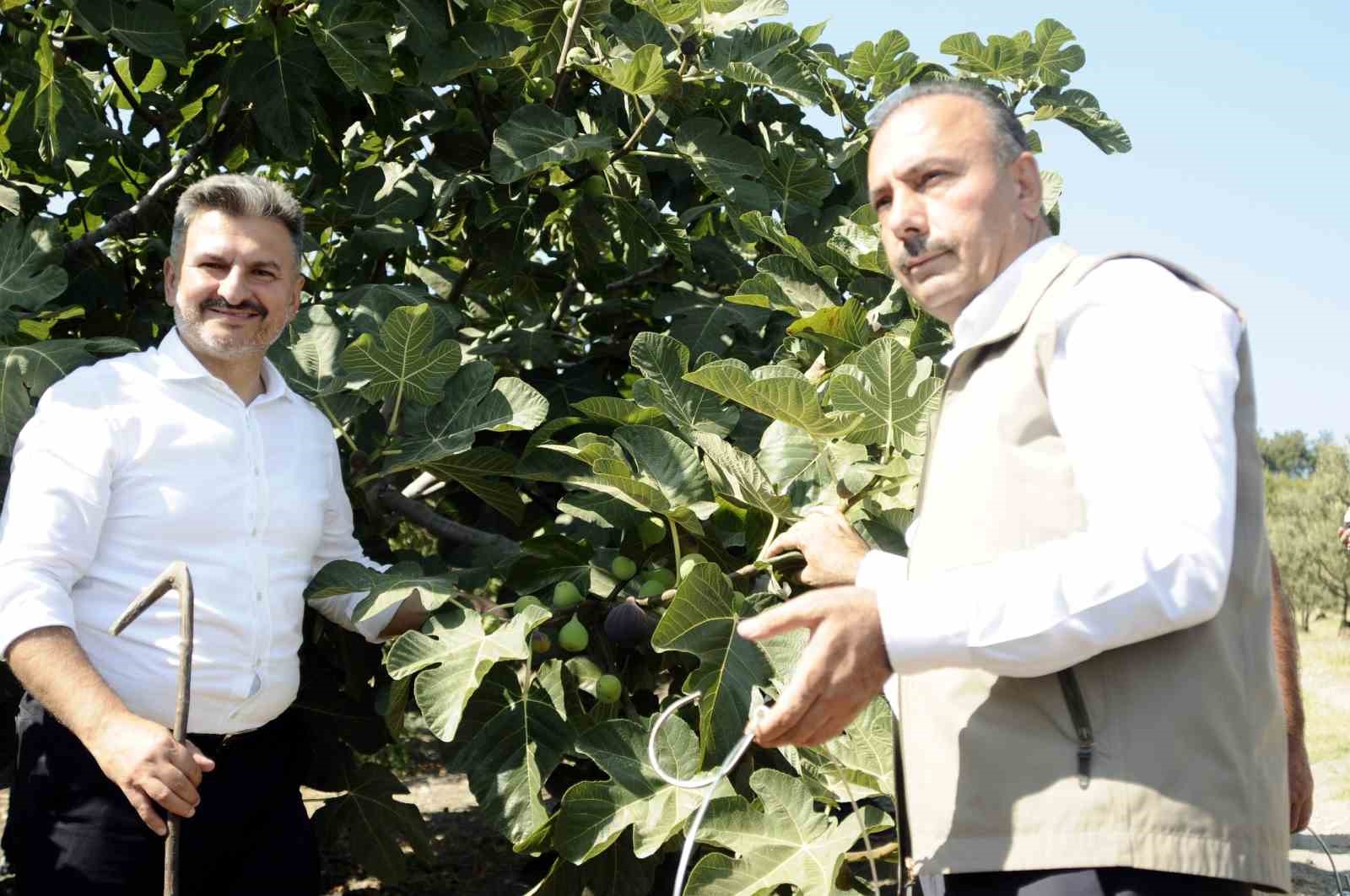 MUDANYA'DA KAYMAKAM AYHAN TERZİ'NİN KATILIMIYLA MUDANYALI ÇİFTÇİLERİN KARA ELMASI VE