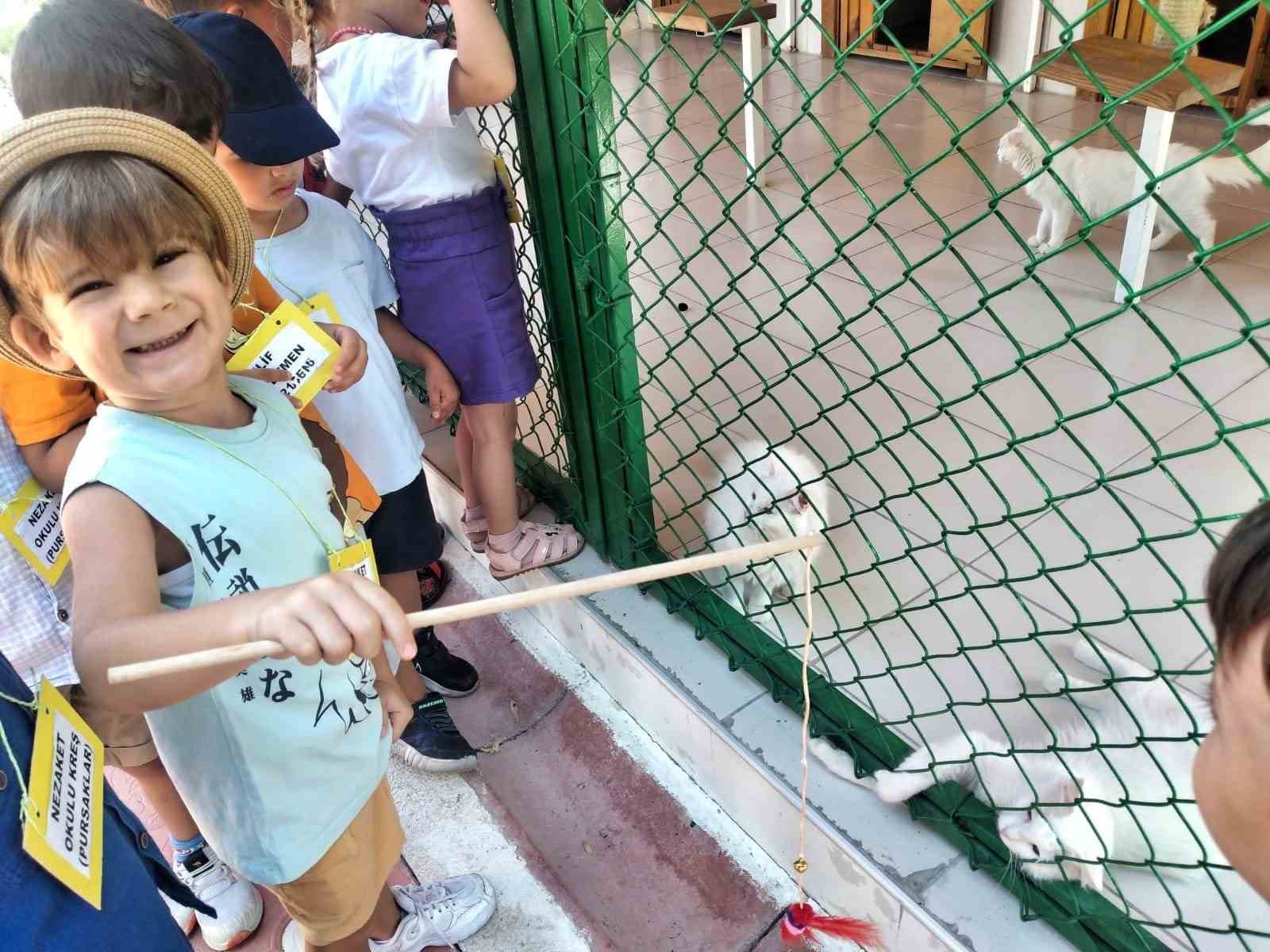 YAZ AYLARINDA ÇOCUKLARA ÖZEL ORGANİZE ETTİĞİ DOLU DOLU ETKİNLİKLERLE MİNİKLERİN