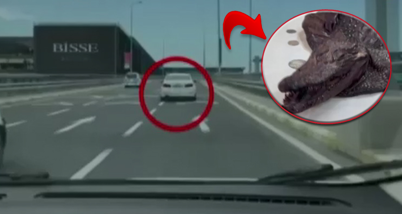 Eyüp Sultan ve İstanbul Havalimanı’nda tarihi eser kaçakçılarına yönelik 6