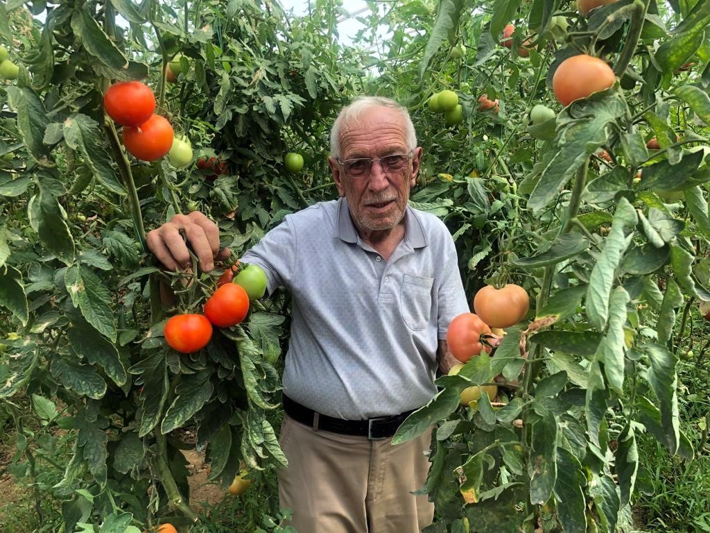 SON YILLARDA AVRUPA VE DÜNYA ÜLKELERİNDEN SONRA TÜRKİYE’DE ÜRETİCİLER SERA