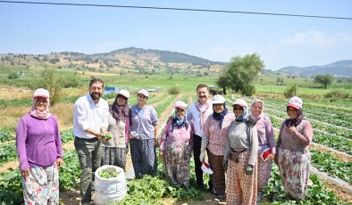Kornişon Salatası binlerce aileye ekmek kapısı oldu 