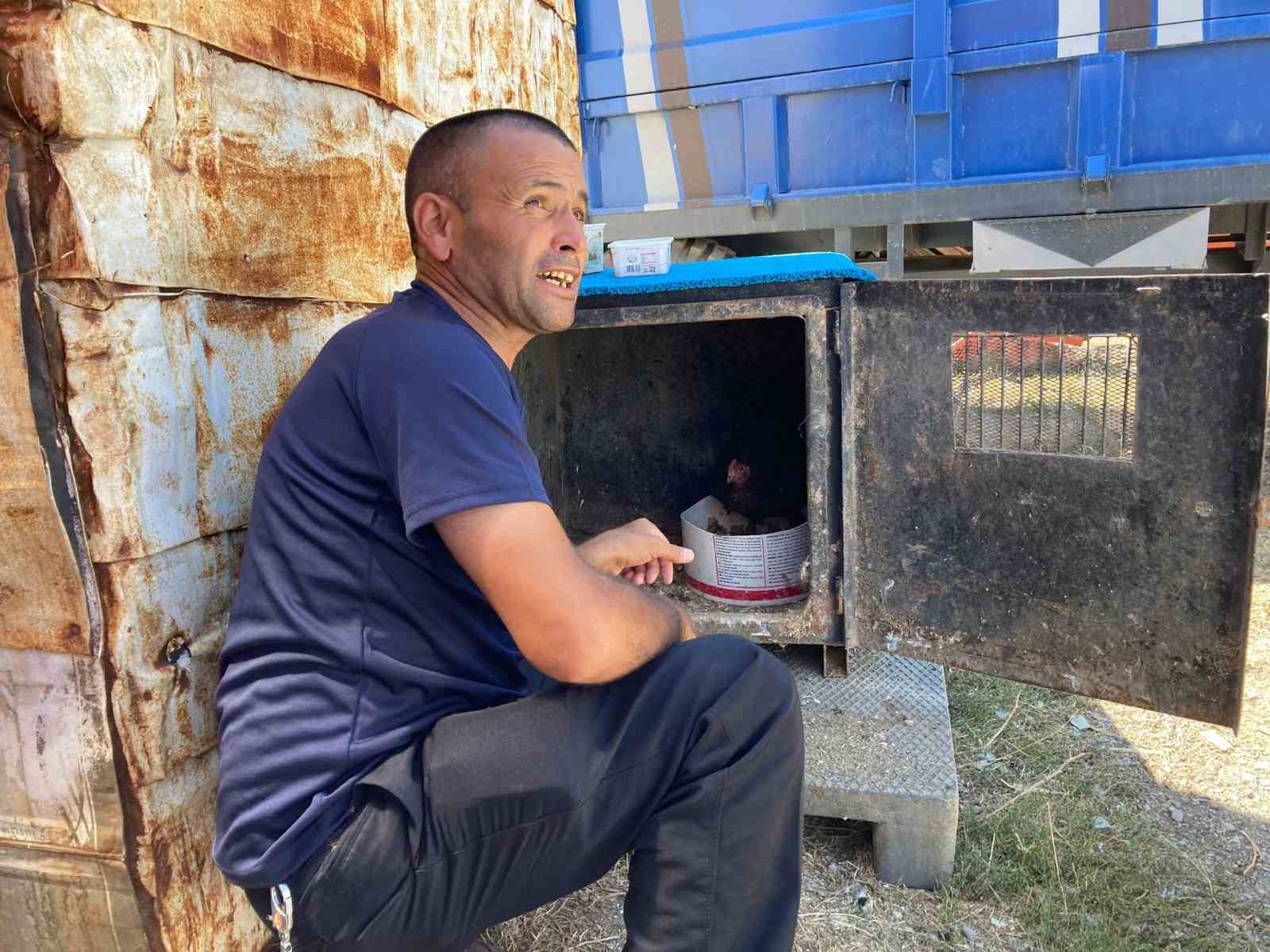 ANKARA’DA YAŞAYAN TUNCAY SEZER, YILANLARI YAKALAMA KONUSUNDAKİ MARİFETLERİ NEDENİYLE, BÖLGE