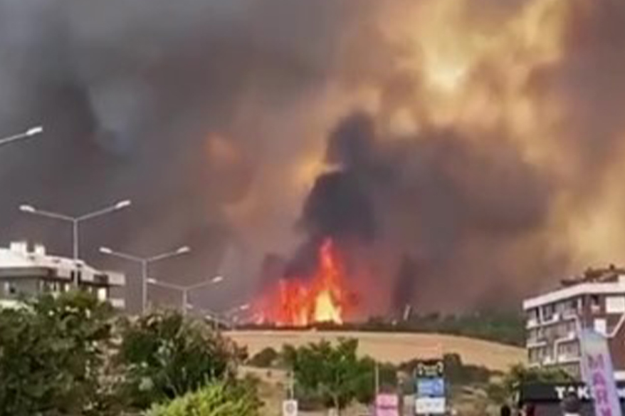 Afet ve Acil Durum Y&ouml;netimi Başkanlığı (AFAD), &Ccedil;anakkale&rsquo;deki orman yangınına
