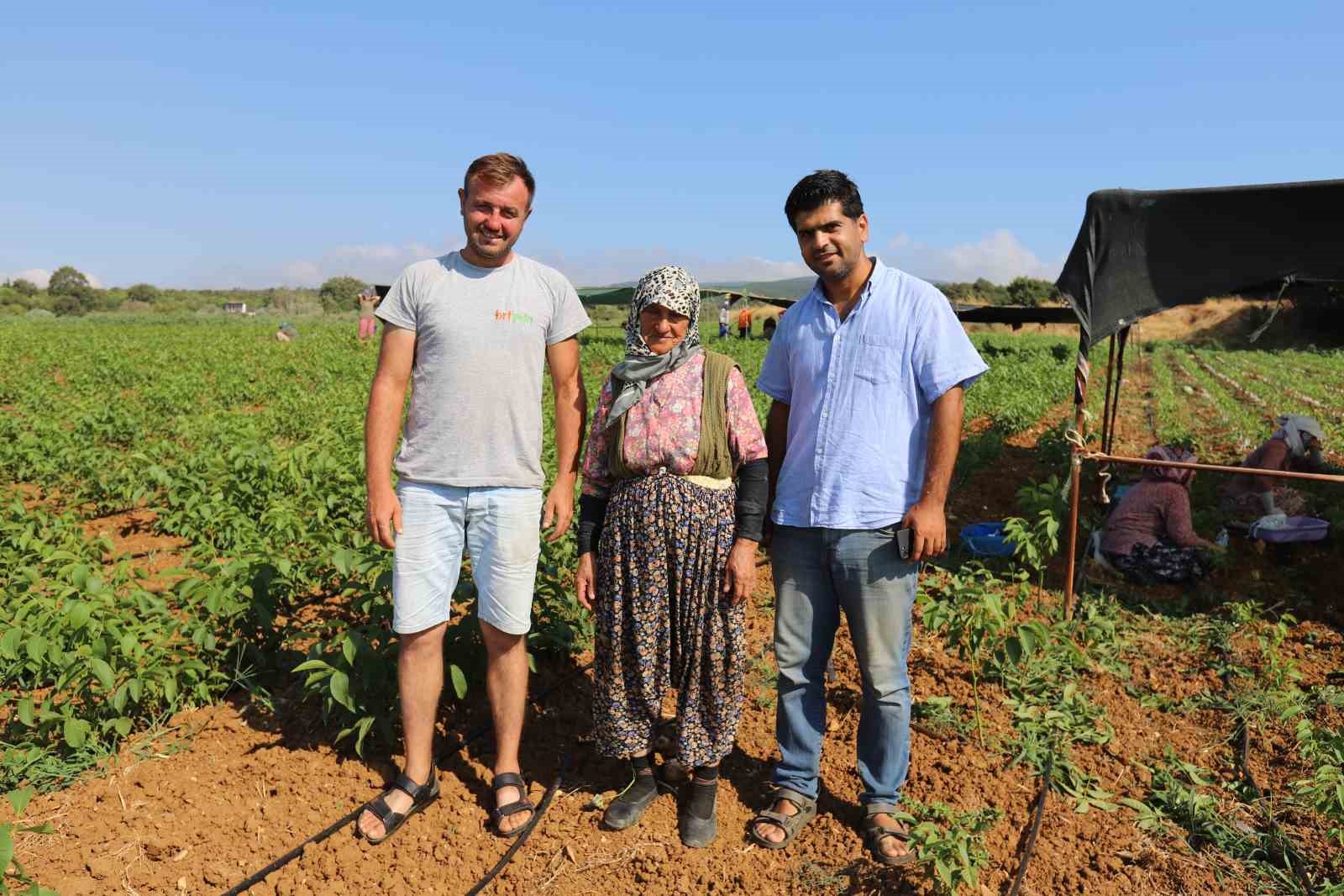 AŞILI CEVİZ FİDANI ÜRETİMİNDE ŞU AN TÜRKİYE’DE BİRİNCİ SIRADA YER