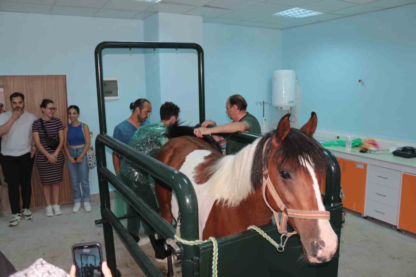 BALIKESİR ÜNİVERSİTESİ HAYVANCILIK UYGULAMA VE ARAŞTIRMA MERKEZİNDE TÜRKİYE’DE İLK KEZ