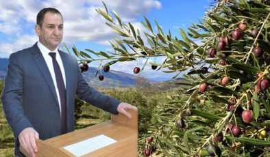 Sıcak hava dalgaları zeytin ve ayçiçeğini vurdu