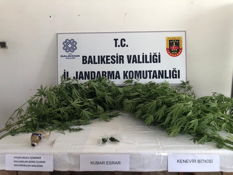 Uyuşturucu maddeye yönelik yapılan çalışmada 4 kişi yakalandı Ayvalık ve Manyas’ta uyuşturucu madde imal ve ticareti suçu işlediği