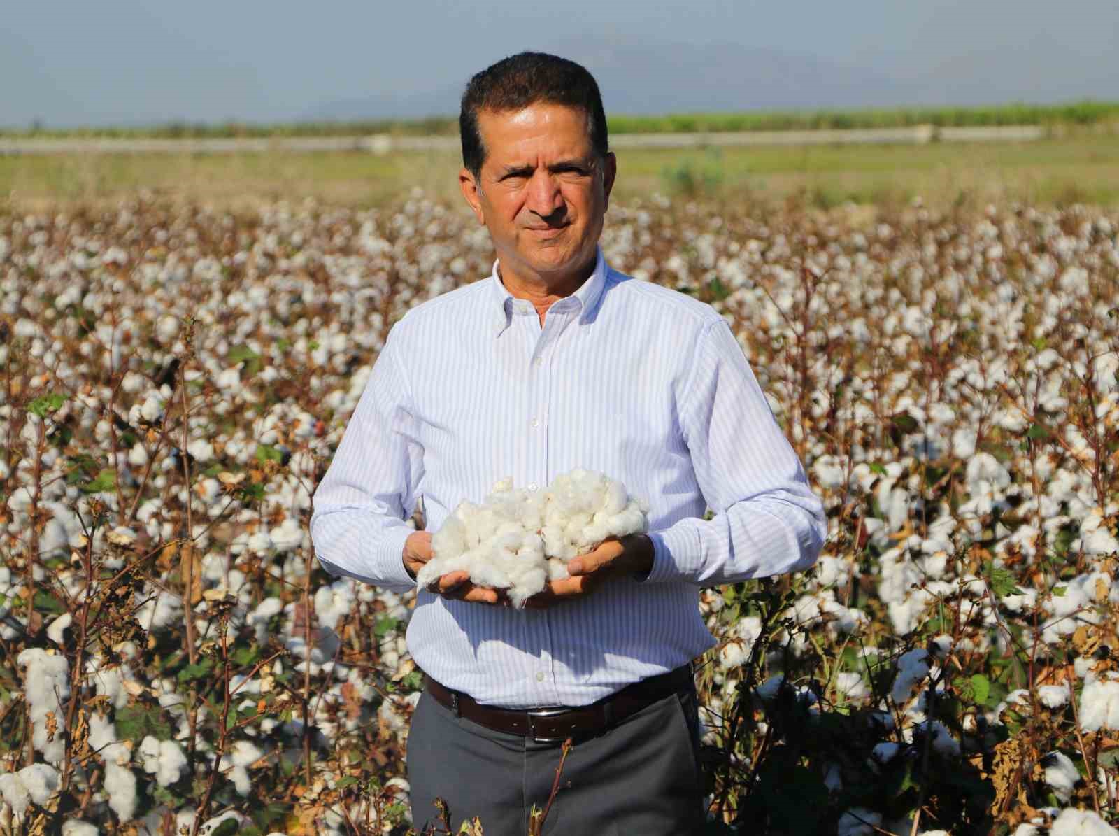 TÜRKİYE’NİN İLK ERKENCİ PAMUĞUNUN ÇIKTIĞI ADANA’DA HASAT BAŞLADI. 182 BİN