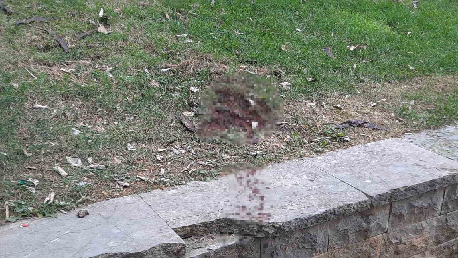 Ünlü oyuncu Seda Fettahoğlu, Beyoğlu’ndaki bir parkta ölü bulundu. Oyuncunun