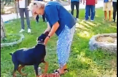 KAYIP KORHAN BERZEG.