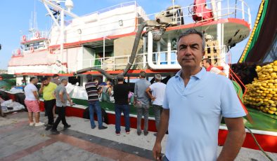 İri ve yerli hamsi ile sezon açıldı