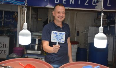 Bandırma’da hamsi balıkçıların yüzünü güldürdü