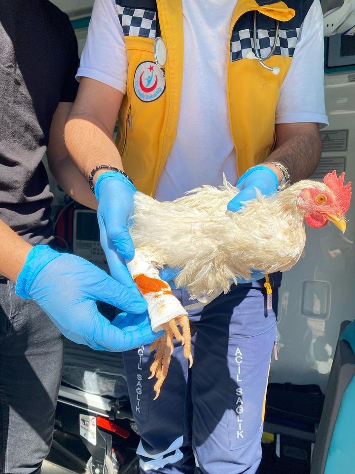 Bursa’da 112 Sağlık çalışanları, sıra dışı bir olaya müdahale etmenin