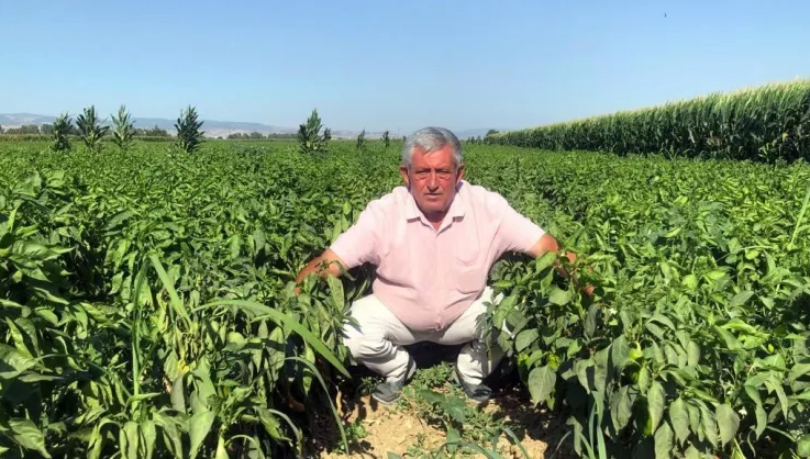 Tarlada 5 liraya pazarda 35 lira BANSES GAZETESİ Başkan Aktaş, “2000’li yıllarda 50’yi bulan ihracat firması
