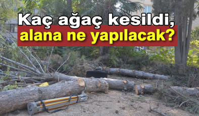 Konuyla ilgili açıklama geldi