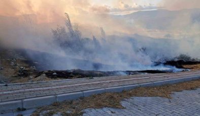 Bandırma’da otluk yangını evleri tehdit ediyor