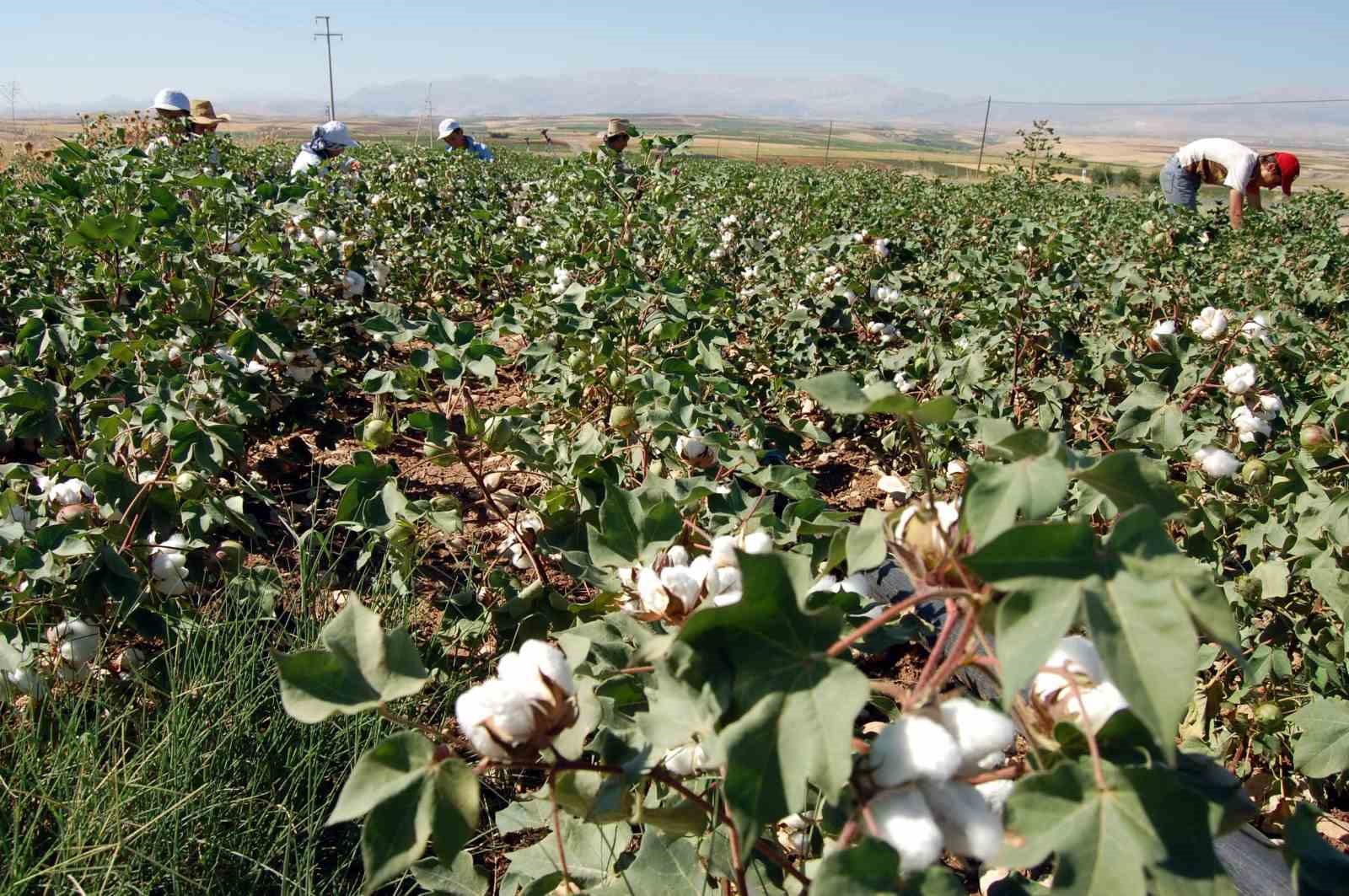 KAHTA ZİRAAT ODASI BAŞKANI RÜŞTÜ TURANLI, ÇUKOBİRLİK TARAFINDAN AÇIKLANAN FİYATIN