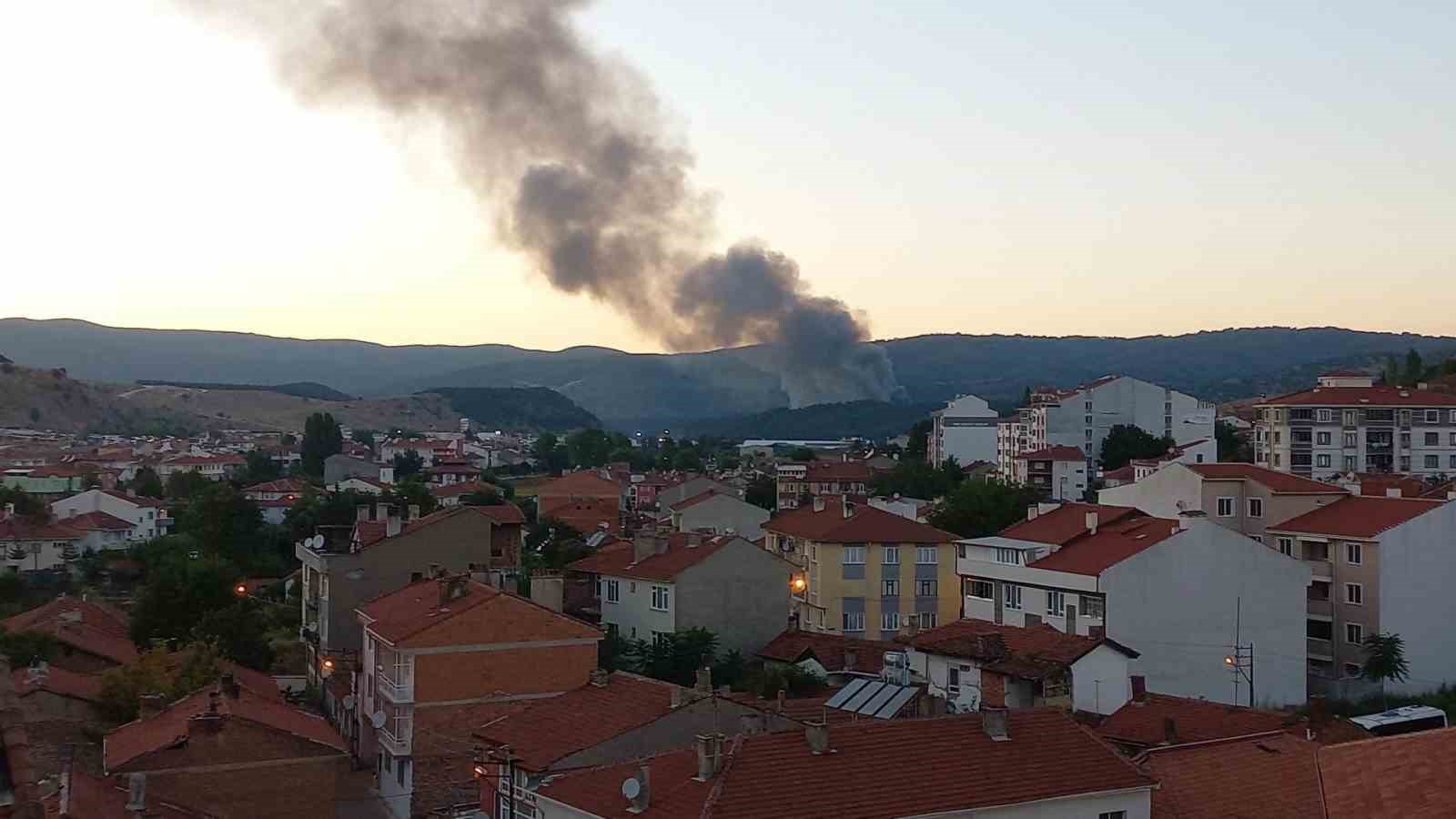 BOZÜYÜK'TE ÇÖPLÜK'TE YANGIN ÇIKTI