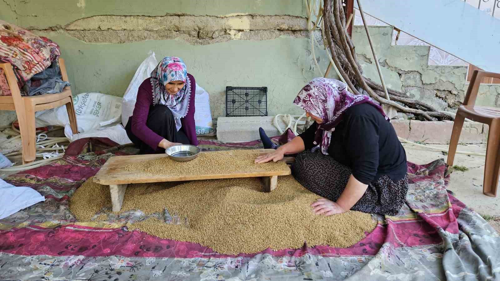 Buğdayın, bulgur olma yolculuğu başladı ADANA'NIN TUFANBEYLİ İLÇESİNE BAĞLI İSTİKLAL MAHALLESİNDE BUĞDAY HASADININ ARDINDAN KIŞLIK