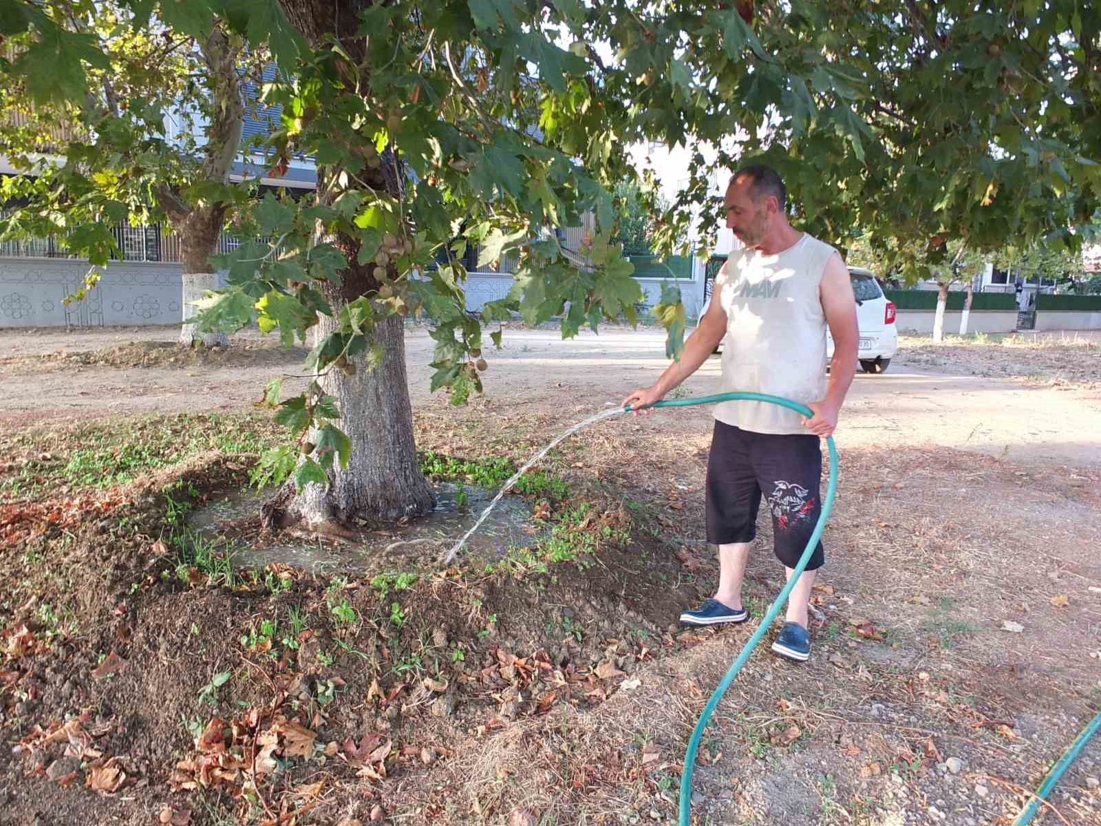 YAVUZ BALTACI