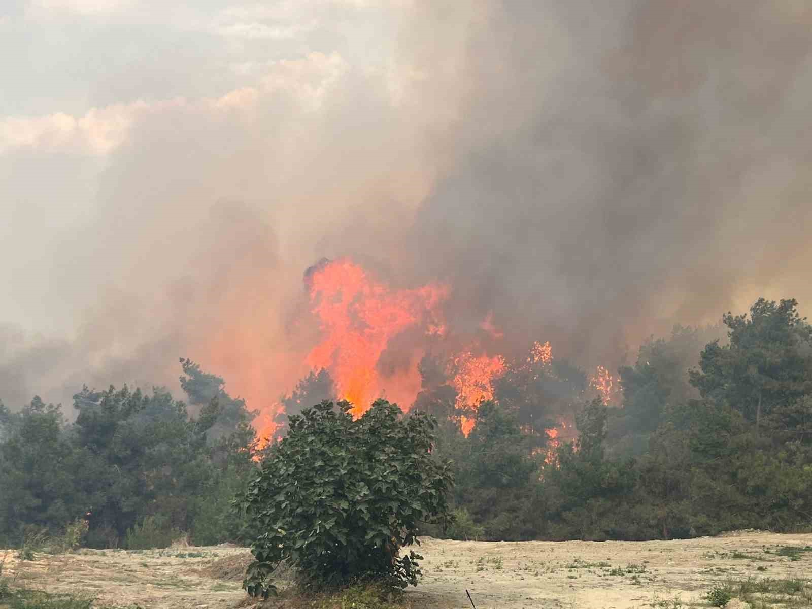 BURSA’DA ORMANLIK ALANDA ÇIKAN YANGINA HAVADAN VE KARADAN MÜDAHALENİN DEVAM