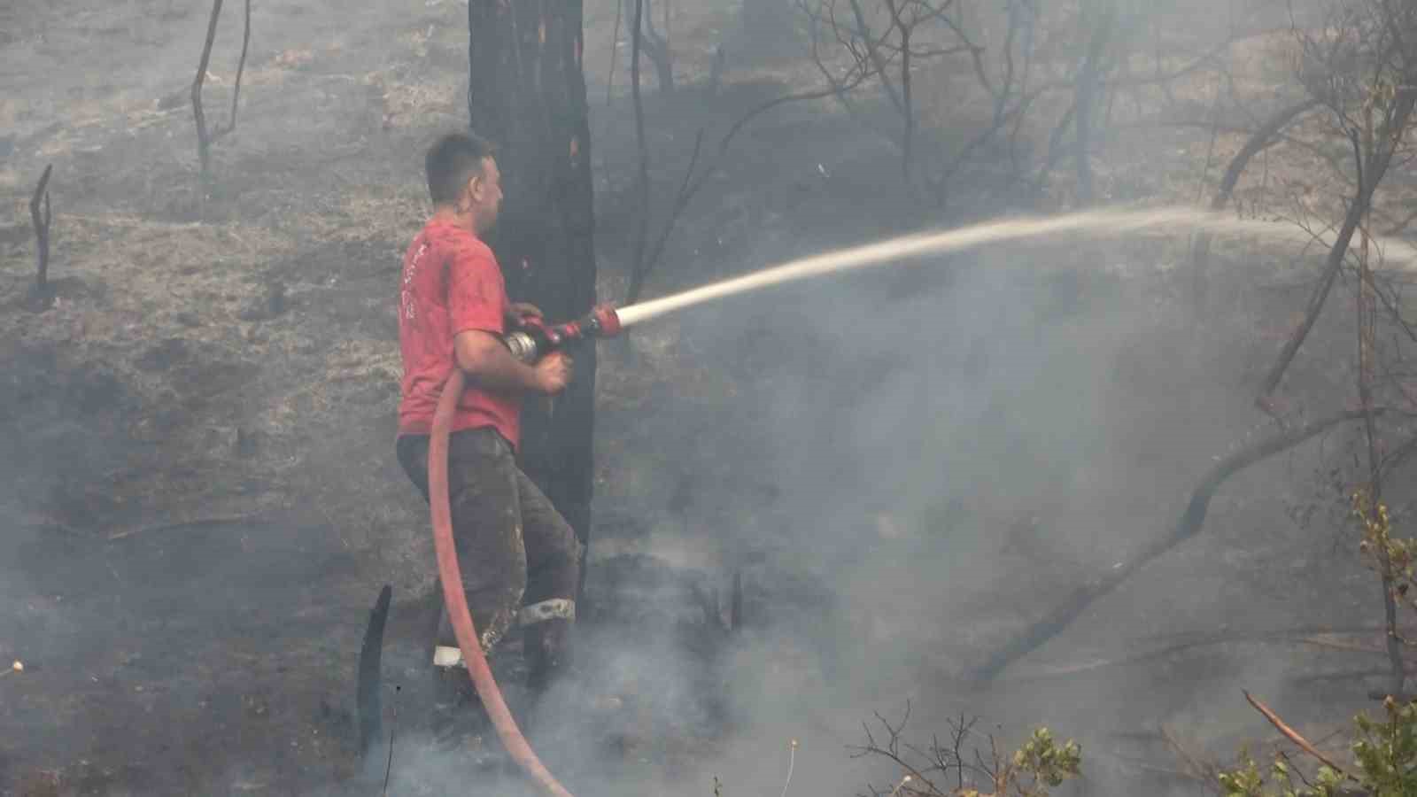 BURSA’NIN MUDANYA İLÇESİNDE ÇIKAN ORMAN YANGINI RÜZGARIN ETKİSİYLE BİRLİKTE KISA