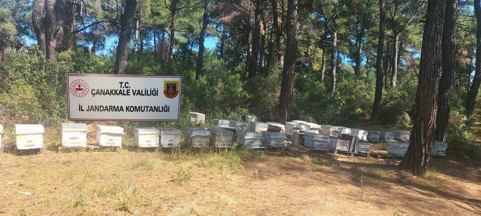 ÇANAKKALE'NİN EZİNE İLÇESİNDE JANDARMA EKİPLERİ TARAFINDAN 42 ADET ARI KOVANINI