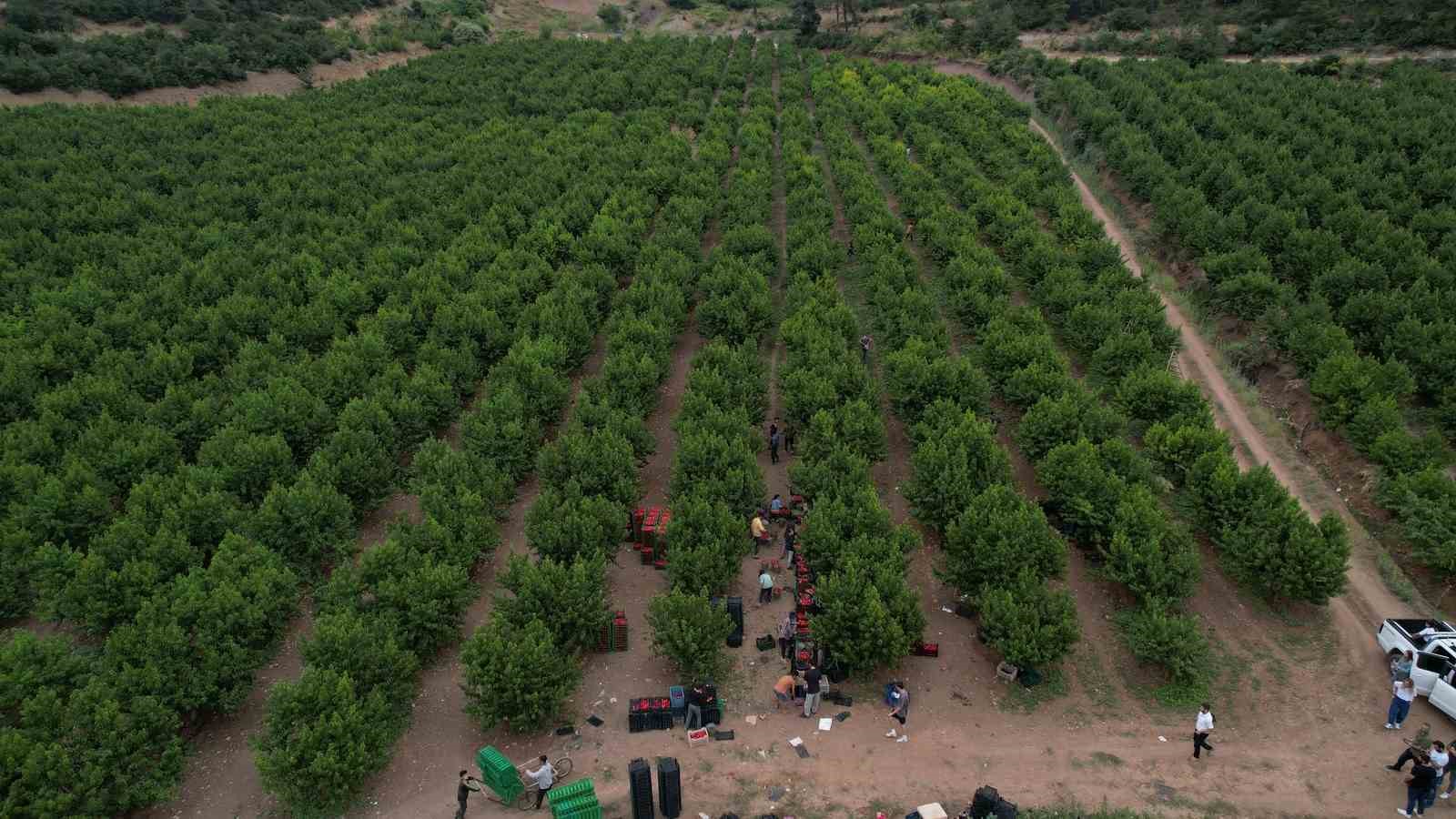 COCA-COLA TÜRKİYE, 2030 YILI TAAHHÜTLERİ ÇERÇEVESİNDE İÇECEKLERİNDE VE OPERASYONLARINDA KULLANDIĞI