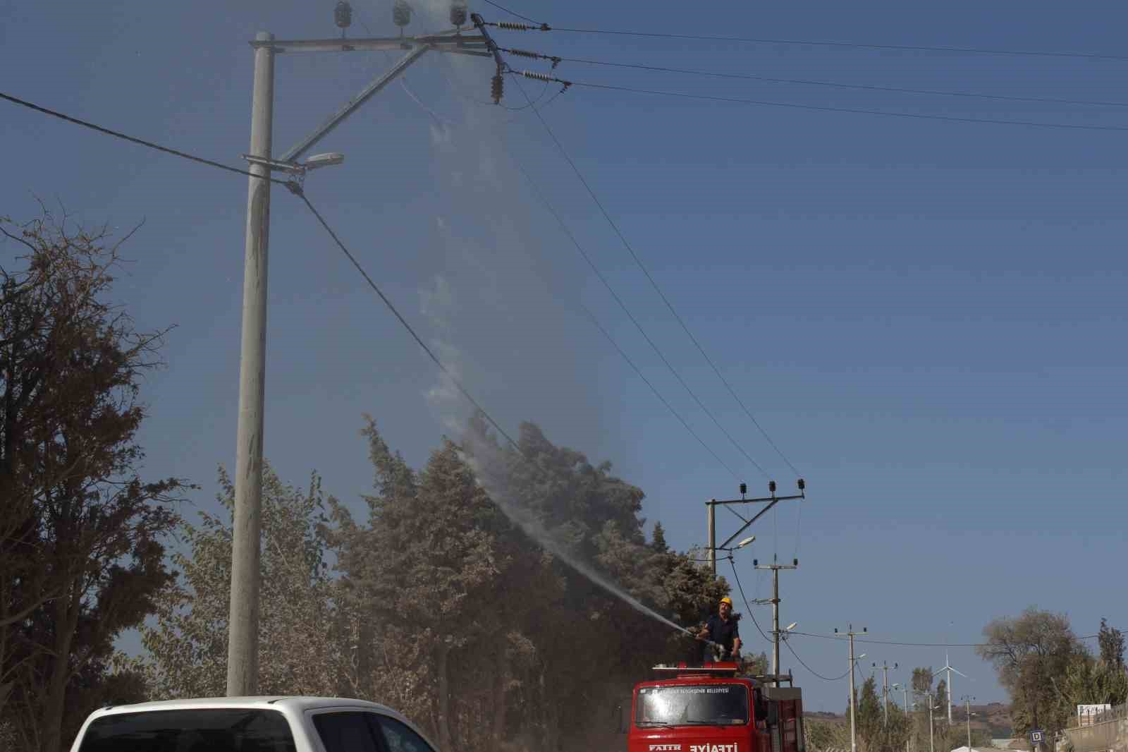 Elektrik hatlarını yıkayarak temizliyorlar UEDAŞ, DENİZE YAKIN BÖLGEDEKİ ELEKTRİK ŞEBEKESİNİ BOYDAN BOYA YIKAYARAK TEMİZLİYOR.