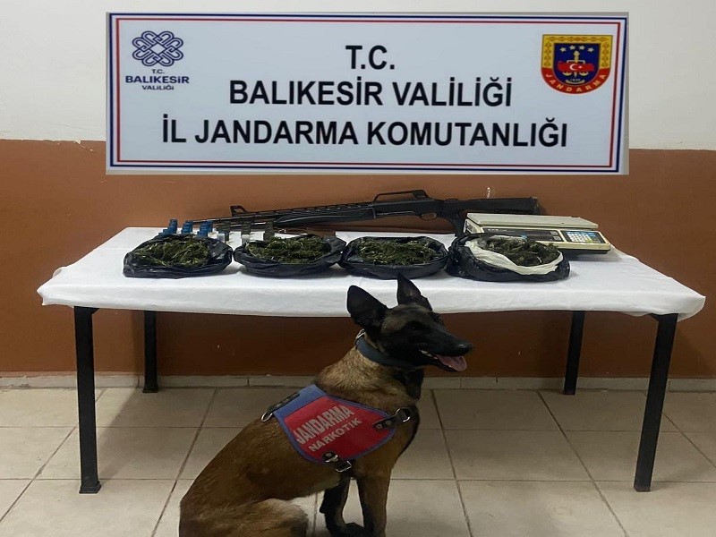 BALIKESİR’İN GÖMEÇ İLÇESİNDE JANDARMA TARAFINDAN YAPILAN OPERASYONDA 500 GRAM KUBAR