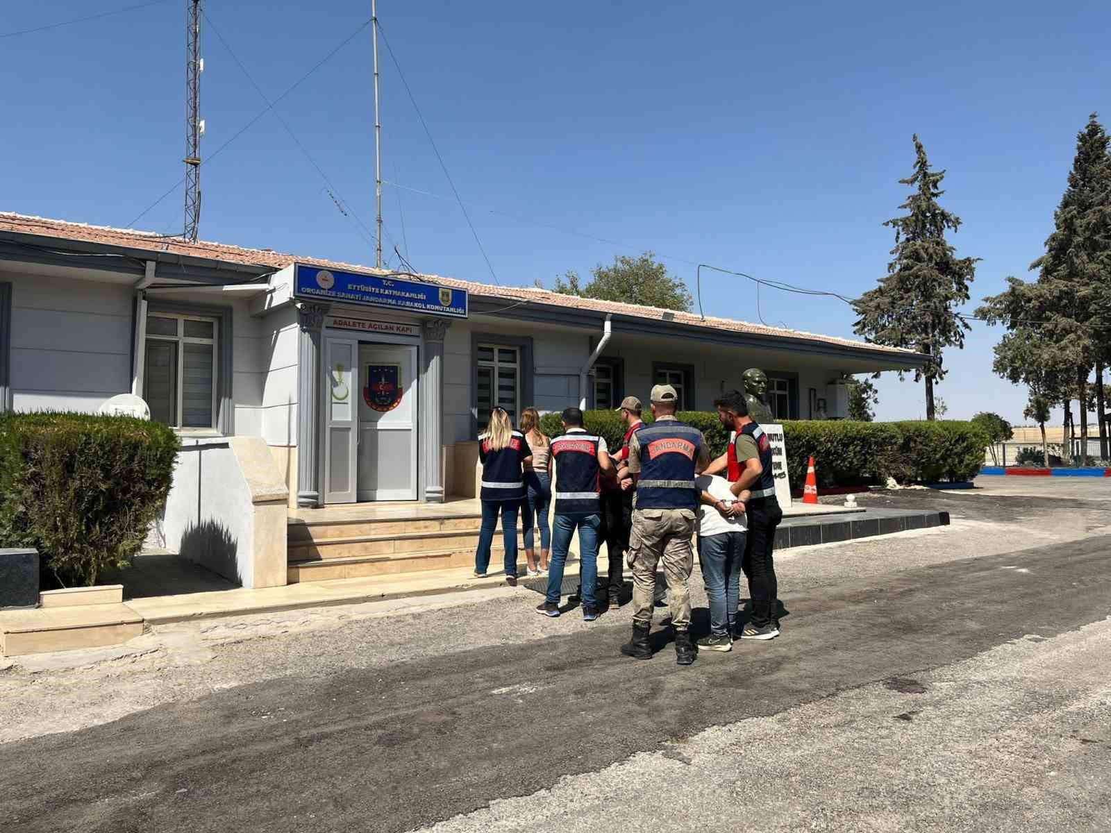 Hırsızların bagajından koyun çıktı HIRSIZLARIN BAGAJINDAN KOYUN ÇIKTI