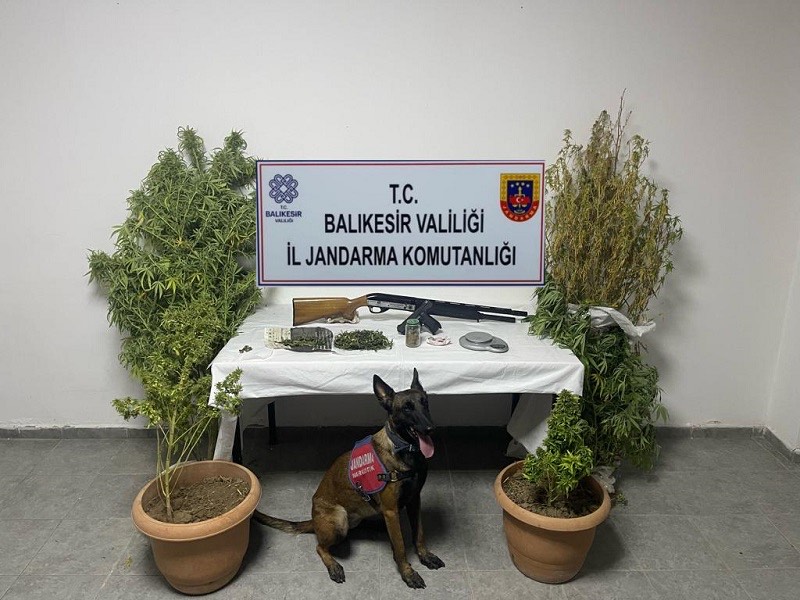 Ayvalık’ta uyuşturucu madde imal ve ticaretine yönelik yapılan operasyonda 2