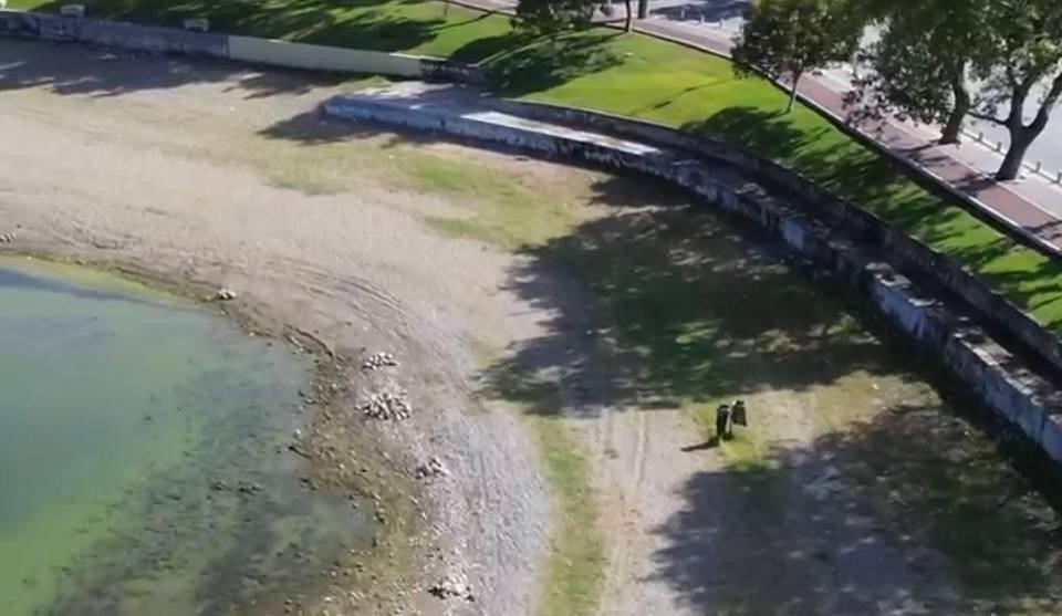 İznik Gölü’nde tehlikeli görüntü TÜRKİYE’NİN EN BÜYÜK 5. GÖLÜ OLAN İZNİK GÖLÜ’NDE SON YILLARDA