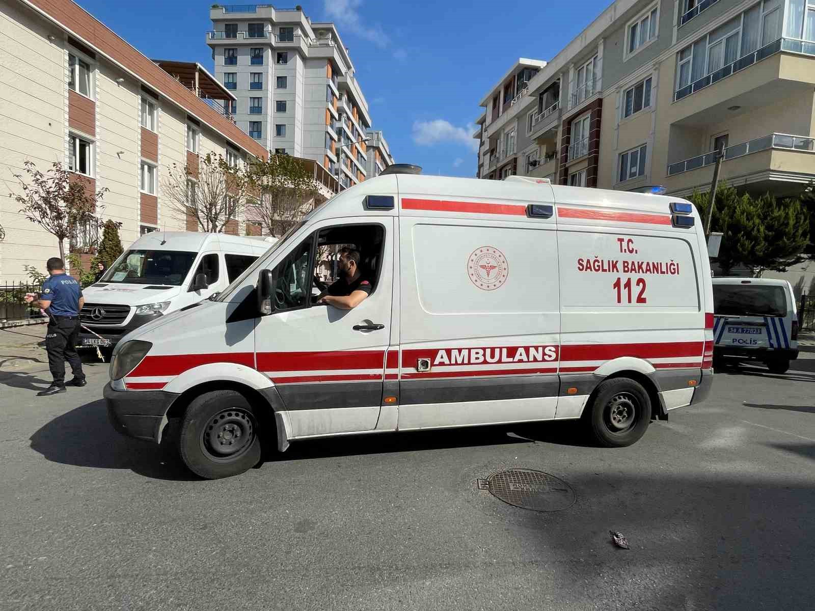 Küçükçekmece’de feci kaza KÜÇÜKÇEKMECE’DE MARKET ALIŞVERİŞİ YAPTIKTAN SONRA EVİNE GİDEN BİR KADIN KAMYONUN