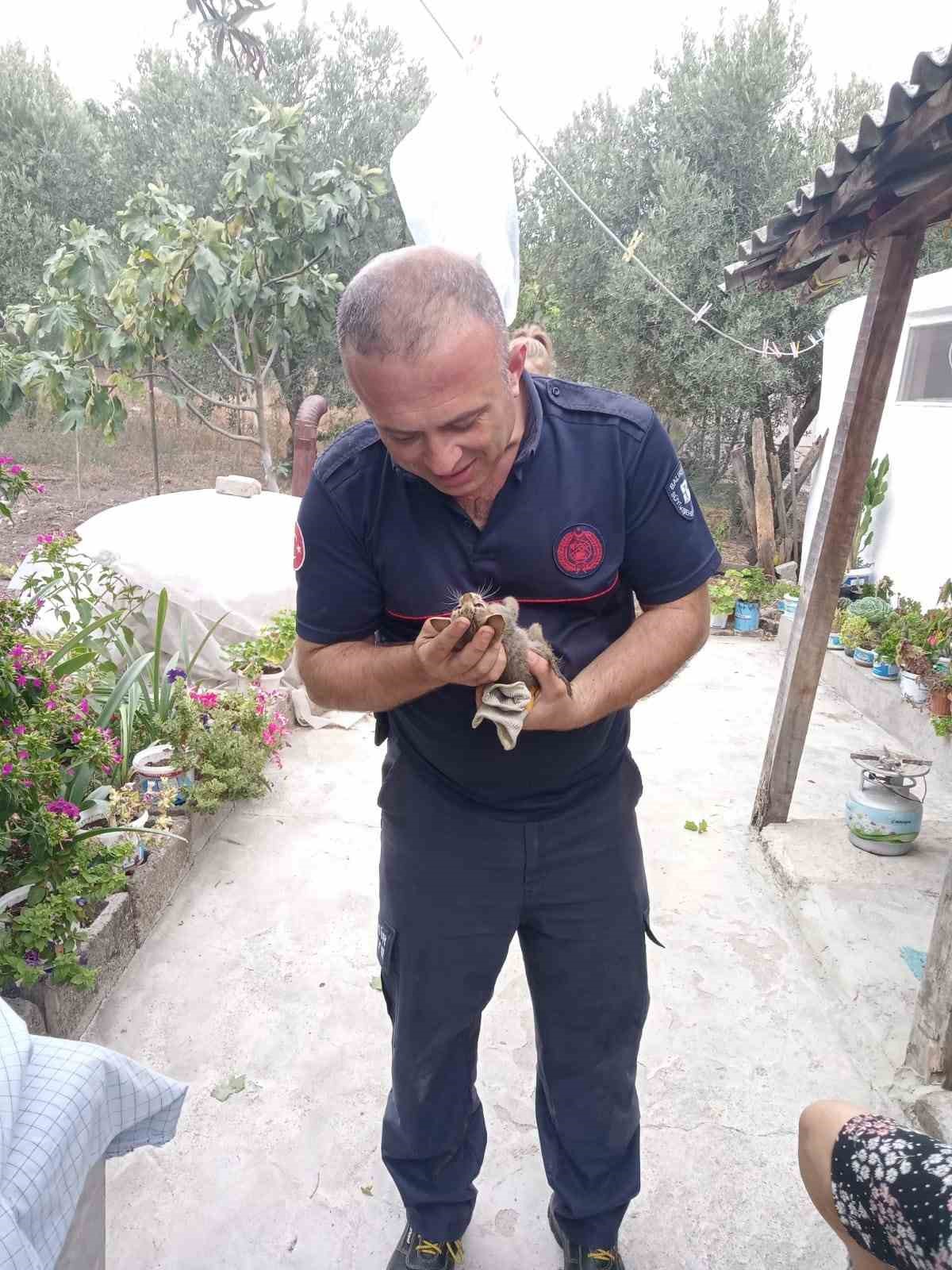 Kuyuya düşen yavru kediyi itfaiyeciler kurtardı KUYUYA DÜŞEN YAVRU KEDİYİ İTFAİYECİLER KURTARDI