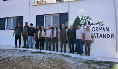 Orman yangın gözetleme kuleleri yenileniyor