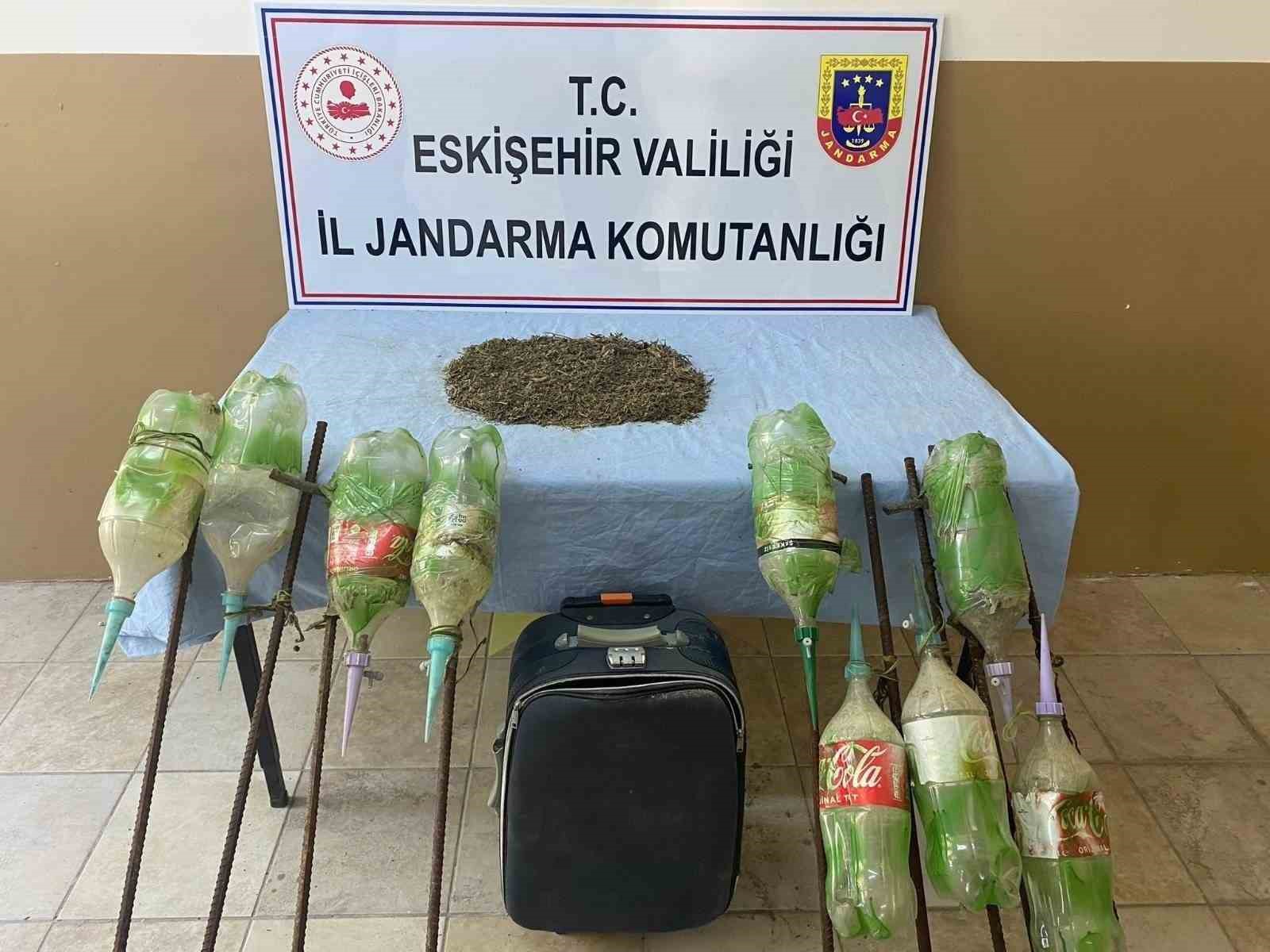 ESKİŞEHİR’DE ORMANLIK ALANA EKİLEN UYUŞTURUCU VE ONLARA AİT SULAMA SİSTEMİ