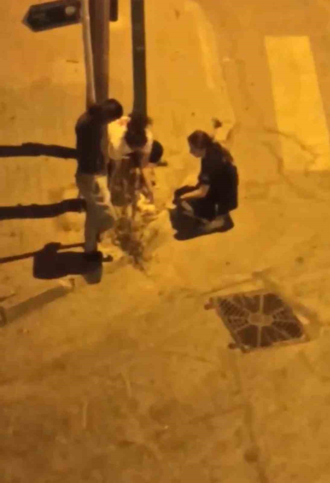 BURSA’DA ARABA ÇARPTIĞI YARALI KEDİYE HEMŞİRELER DAKİKALARCA KALP MASAJI YAPTI.