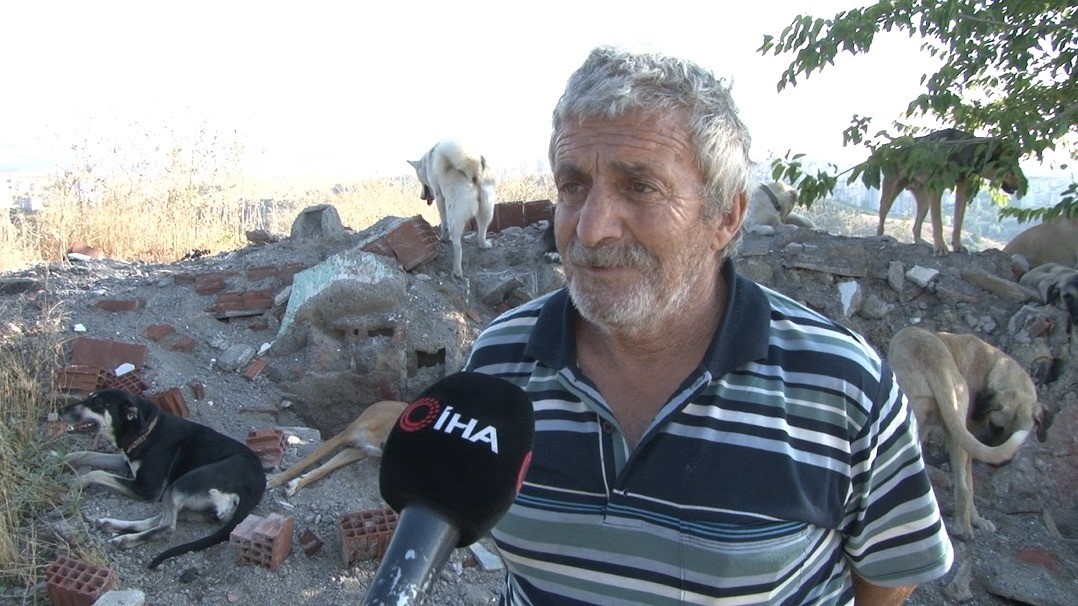 ANKARA’DA BİR KİŞİ, SOKAK KÖPEKLERİNİ BESLEDİĞİ İÇİN KOMŞUSU TARAFINDAN TÜFEKLE