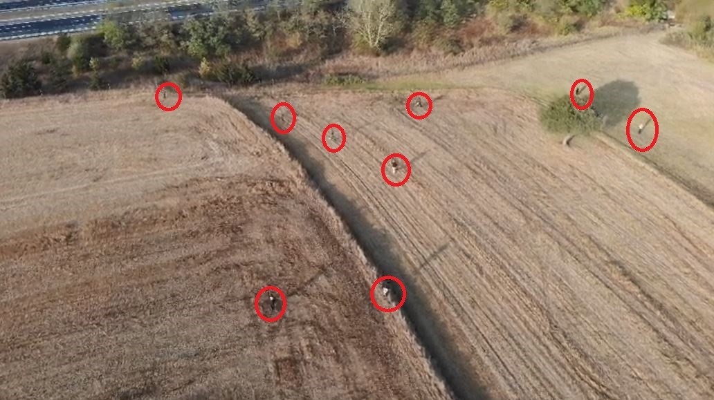 Tarlada göçmen kovalamacası dron kamerasında: 122 göçmen yakalandı TEKİRDAĞ’IN SARAY VE ERGENE İLÇESİNDE TERMAL KAMERALI İHA’NIN DA KULLANILDIĞI