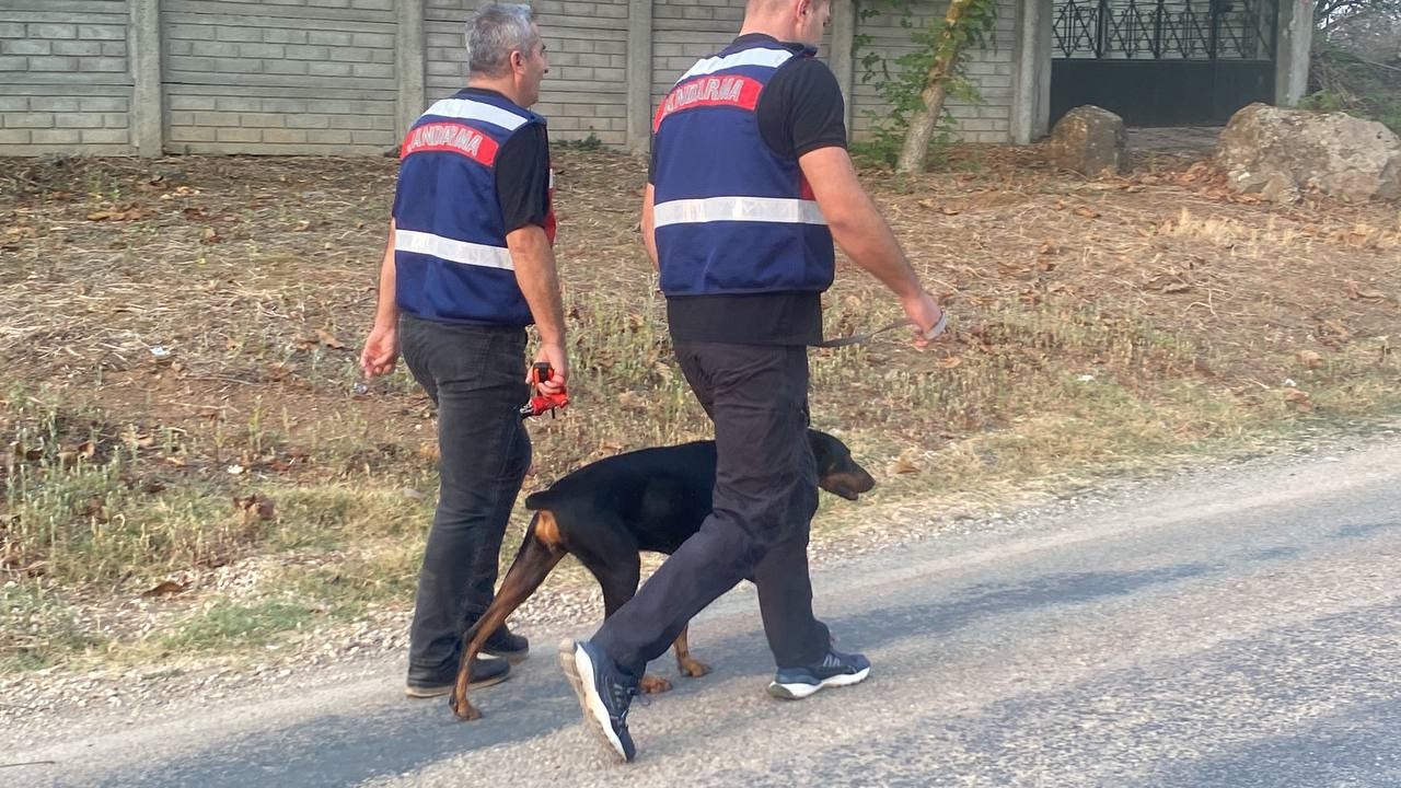 BALIKESİR'İN GÖNEN İLÇESİNDE EKONOMİST KORHAN BERZEG İLE BİRLİKTE ORMANA GİTTİKTEN