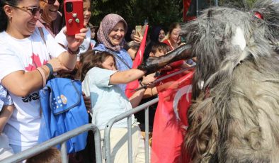 Tülütabaklar hem korkuttu hem dans etti