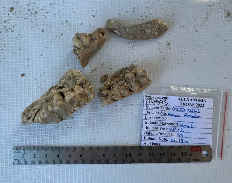 2400 yılık antik kentte salgın araştırması ÇANAKKALE'NİN EZİNE İLÇESİNE BAĞLI DALYAN KÖYÜNDEKİ 2 BİN 400 YILLIK