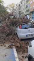 Bursa’da yol kenarındaki ağacı budayan ekipler düşme noktasını hesaplayamayınca ağaç