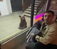 Karabük’te şehir merkezine inen ayılar iş hanına girerek esnaflara saldırdı.Karabük’ün