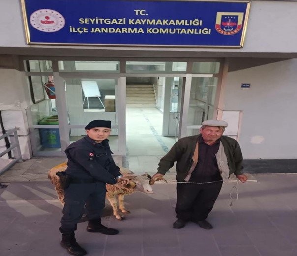Çalıntı küçükbaş hayvanı sosyal medya üzerinden satmaya çalışan şahıs yakalandı Eskişehir’de satın aldığı küçükbaş hayvanı ‘TikTok’ isimli sosyal medya üzerinden