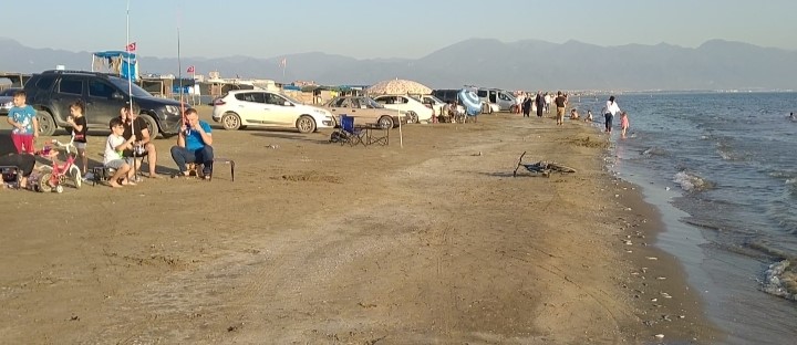 Hatay’ın Akdeniz kıyılarında binlerce balık karaya vurdu. Karaya vuran balıklar,