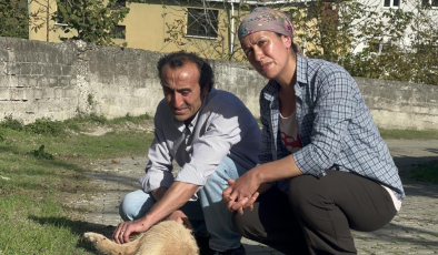 Beslediği köpeği darp edilerek öldürüldü