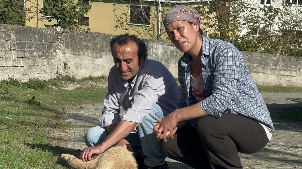 Zonguldak’ın Çaycuma ilçesi Yolgeçen köyü Gülşenler Mahallesi’nde Mahir Şen’in kız