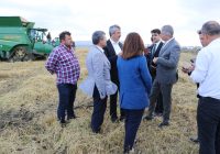 Türkiye’nin pirinç ihtiyacının önemli bir kısmının karşılandığı Edirne’de hasat başladı.Ülke